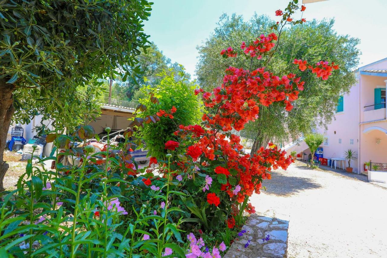 Fran Apartments Agios Spyridon  Esterno foto